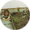 tracey_garden